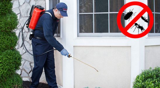 Sahilevleri Hamam Böceği İlaçlama böcek ilaçlama ve haşere kontrolü — ilaclama-tr.com